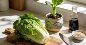 Kapusta pak choi – kompleksowy przewodnik po uprawie i pielęgnacji
